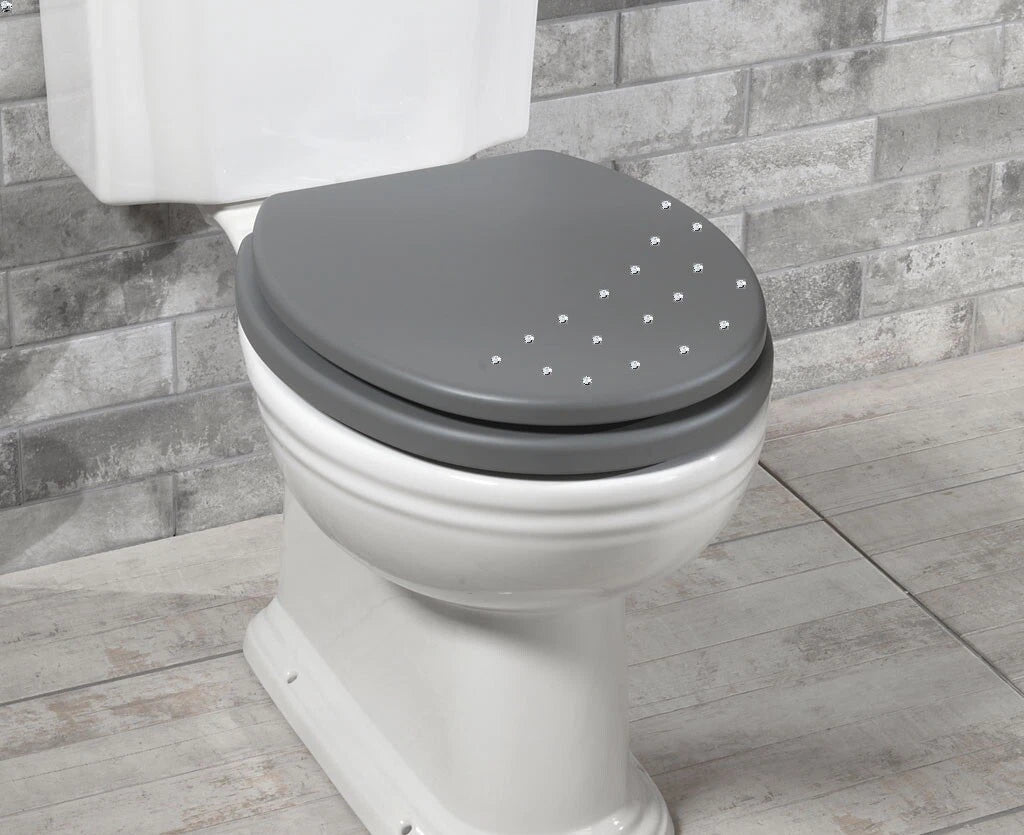 Soft-Close Diamante Toilet Seat
